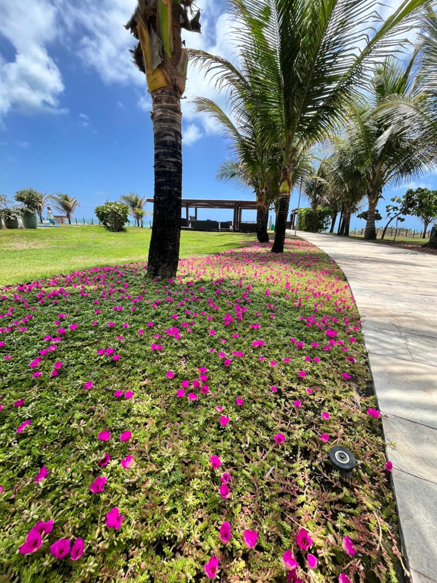 Resort Beira Mar Em Porto De Galinhas - Cupe Beach Living מראה חיצוני תמונה